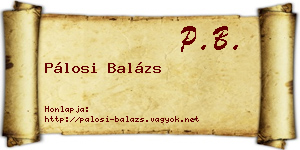 Pálosi Balázs névjegykártya